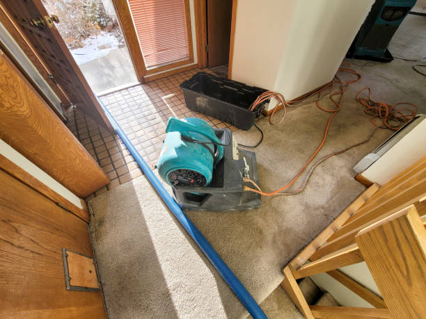 Best Flood restoration services  in Daniels, WV