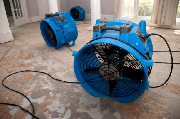 Best Ceiling water damage repair  in Daniels, WV