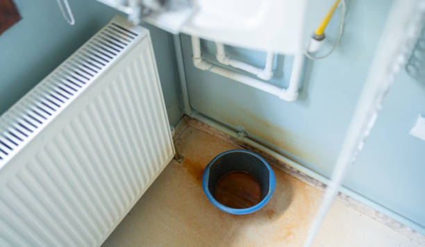 Best Basement water damage restoration  in Daniels, WV