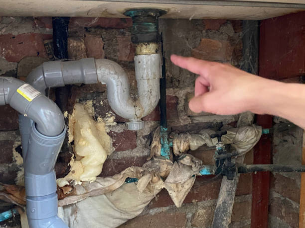Best Mold removal after water damage  in Daniels, WV